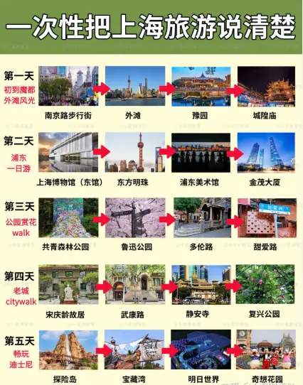 亲人因为过度消费网赌欠债怎么做？家庭网贷干预与上海债务心理疏导的破局之路