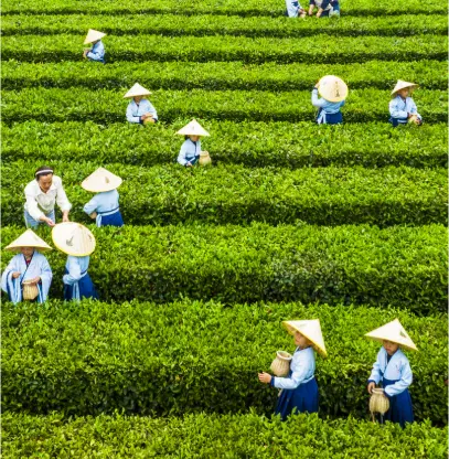 上海同城精选｜魔都打卡日历｜美食路线：解锁2025沪上流量密码🔥
