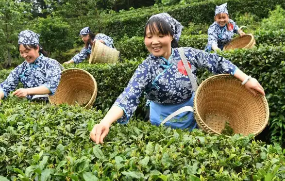 上海同城交友怎么入门？先搞懂兴趣小组和线下活动的门道 ⚡