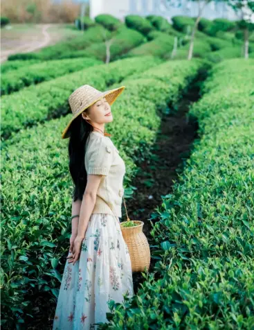 上海脱单到底有多难？数据告诉你真相