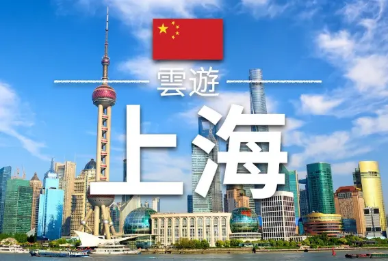 碧螺春属于什么茶？揭开这款传奇名茶的真实身份
