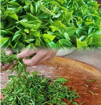 上海同城交友防骗怎么做？线下见面与活动避雷，我踩过的坑你千万别再踩