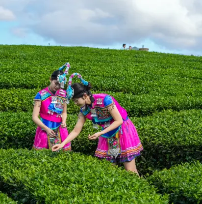 上海忘年恋：年龄差背后的幸福密码，你真的看懂了吗？