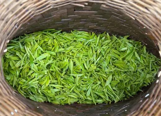 上海网红地标推荐指南：同城聚会与美食的完美碰撞😋